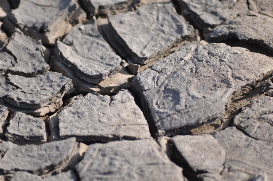 Texture, Textures, earth, dry, brittle, cracked, Arid, Land, Brown, Cracked, Arid Landscape, Backgrounds, Drought 