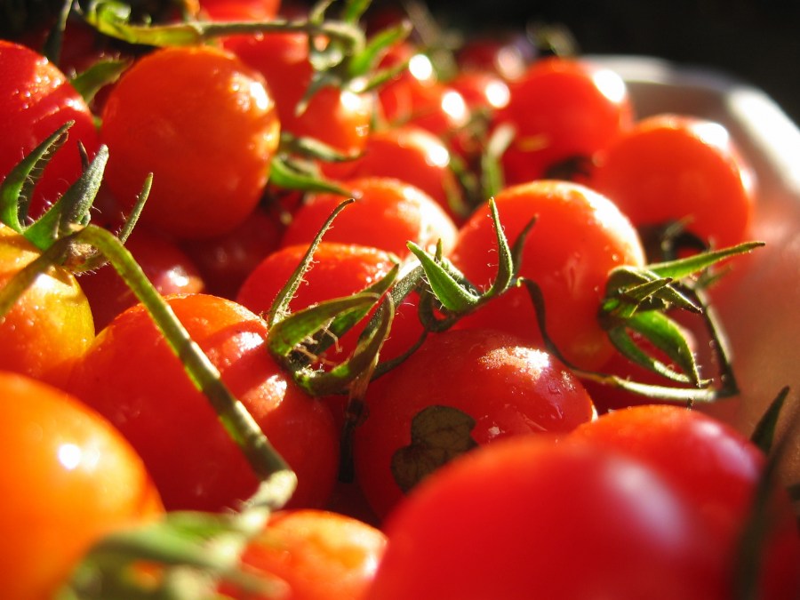 tomato, tomatoes, fruit, vegetable, red, ingredient, front view, meal, nobody, 