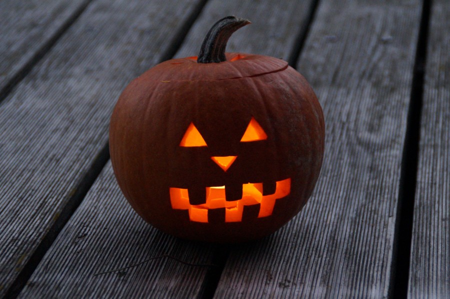 Halloween, pumpkin, horror, light, nobody, fear, illuminated,
