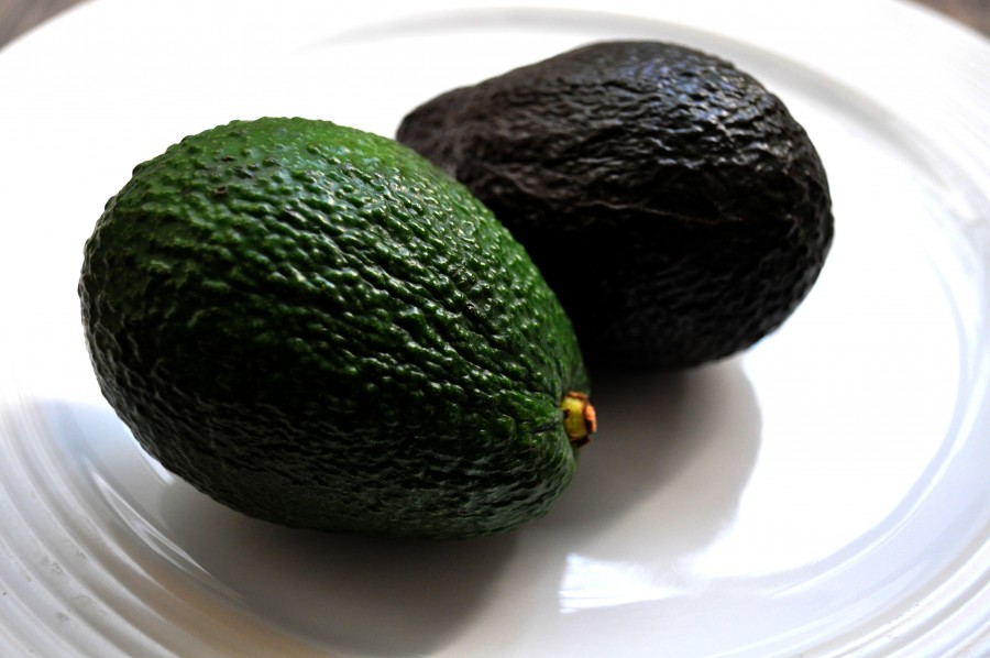 avocado, avocado, agucate, green, vegetable, vegetables, ingredient, hash, black, food, 