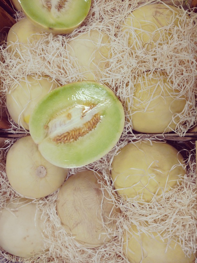 melon, melons, fruit, food, healthy food, nutrients, sweet, edible pulp, oval