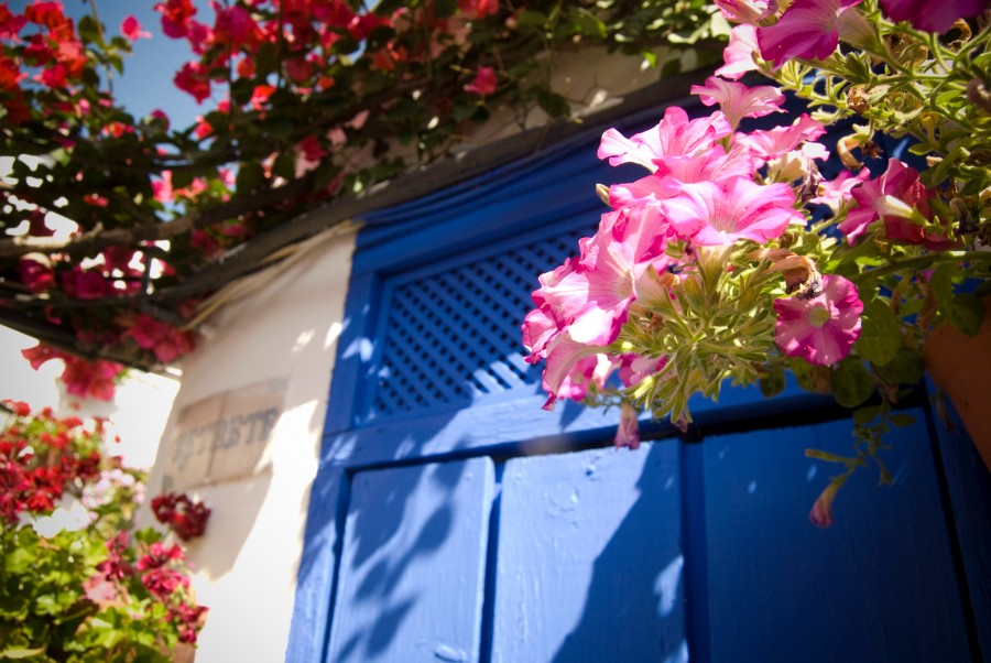 door, spring, blue, house, entrance, wall, architecture, flower, flowers, facade, 