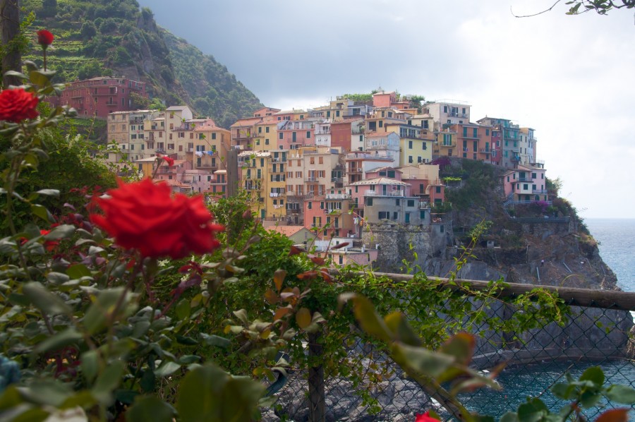 Manarola and pink, Manarola, Town, Village, Liguria, Italy, Europe, Architecture, Dia, Coast Mountains,