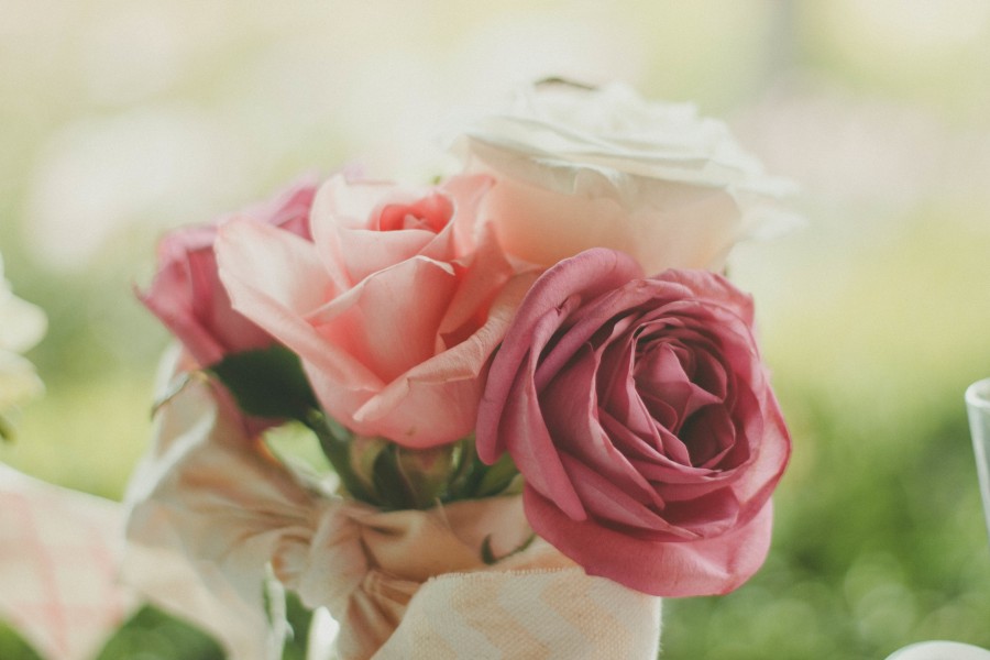 flower, flowers, day, love, rose, roses, nature, nobody, san valentin, 