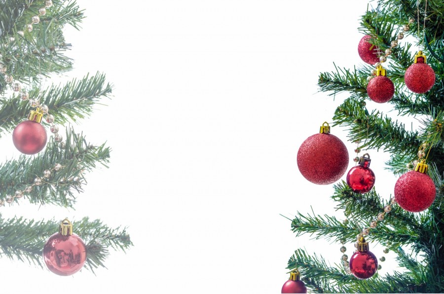 christmas, detail, ornament, decoration, celebration, 2015, celebration, white, christmas tree, tree, white background, 