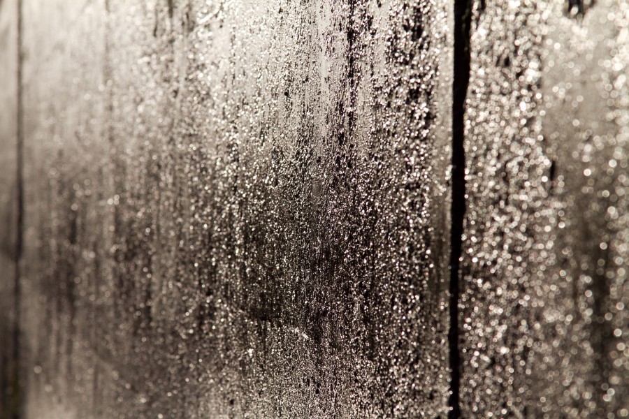 texture, wall, wet, wet, wall, cement, background, background,