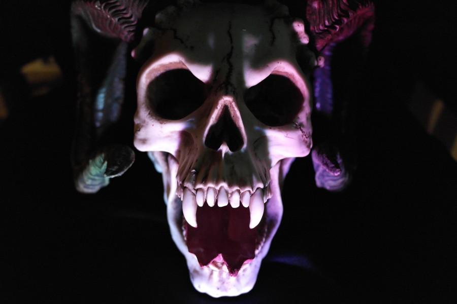 monster, horror, skull, teeth, rare, death, fear, halloween, diabolical,