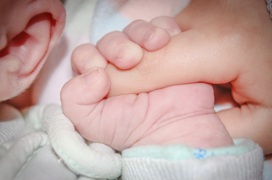 baby, newborn, hand, mother, family, hold, grab, close-up,
