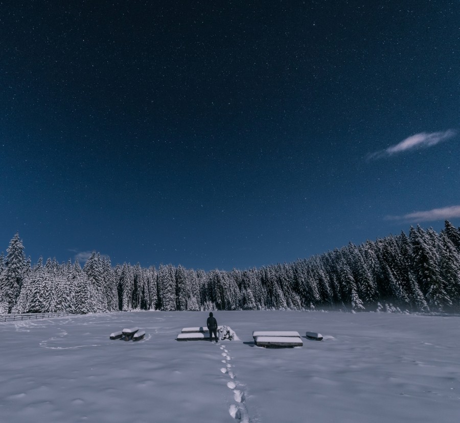 snow, man, landscape, night, night, winter, one person, forest, sky, starry,