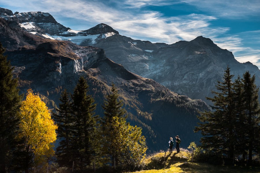 trekking, hiking, adventure, mountain, mountains, landscape, night, pine, pines,