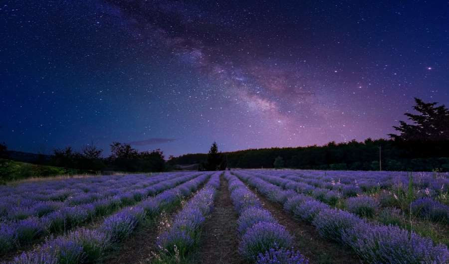 galaxy, star, night, sky, astronomy, nature, background, nebula, science, way, milky way, space, dark, landscape, mountain, travel, constellation, milky, planet, astrophotography, light, beauty, blue, summer, awe, cosmic, cosmos, shiny, universe, outer space, sagittarius, exposure, long, ocean, adventure, black, bright, field, beach, beautiful, cliff, hill, outdoor, sea, alien, deep, distant, dust, earth, exploration