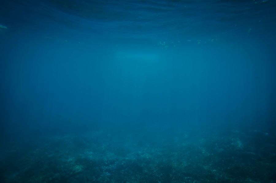 background, ocean floor, sea, ocean, blue, deep, depth, nobody,