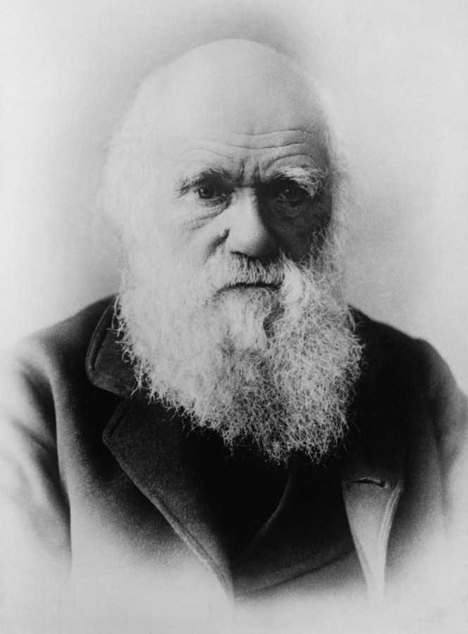 Charles Darwin, science, evolution, scientist, 1800s, personality, black and white, 