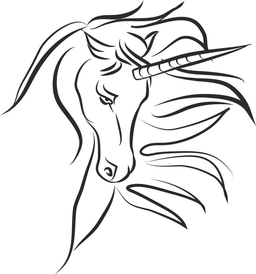 unicorn, beautiful, mythology, tender, unicorn to print, wallpaper of unicorn, animated unicorn, animal, unicorns, unicorn background, images of pretty unicorns, color unicorns, unicorns coloring, real unicorns, unicorns kawaii, unicorn drawing, colorful