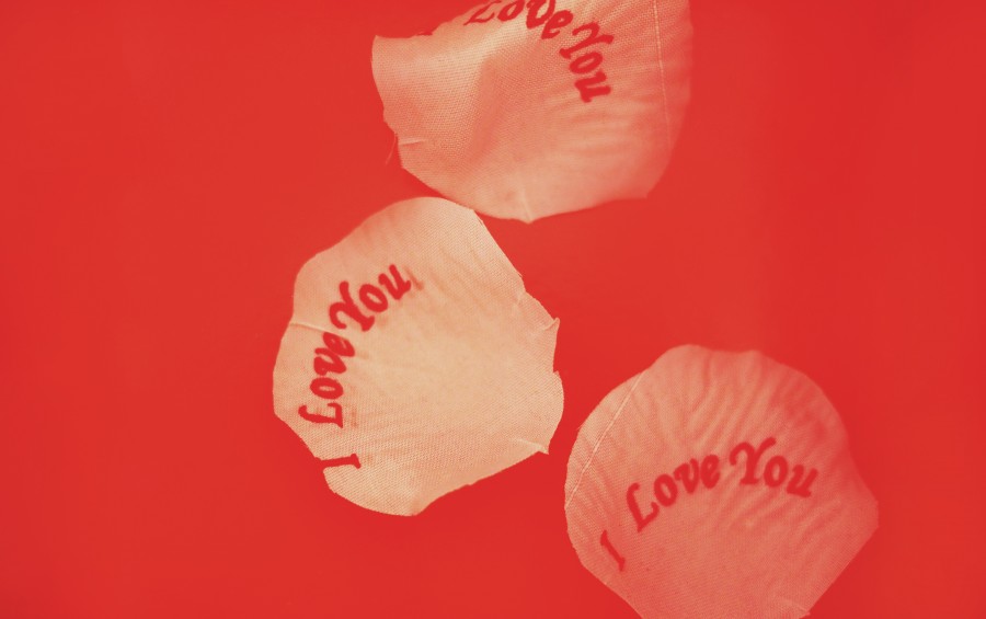 love, concept, red, background,