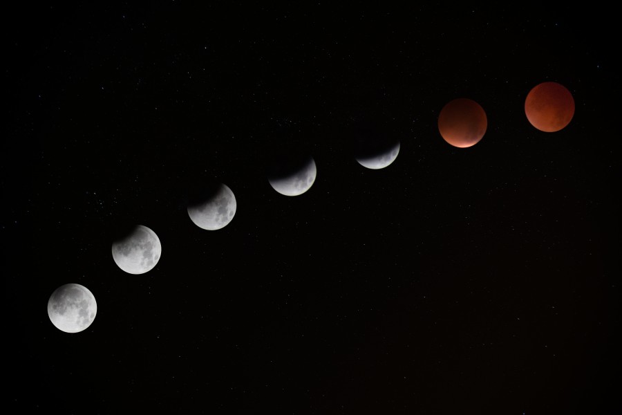 moon phase, moon, red, red phases, moon, star, stage, stages, eclipse, black background, astrology, concept,