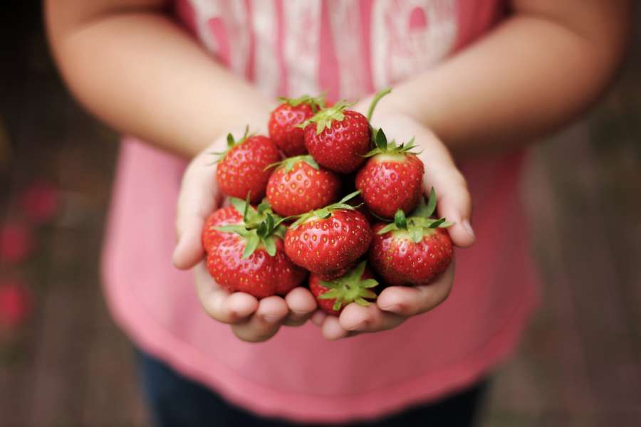 
strawberries, fruit, woman, red, food, healthy, fresh, handful,