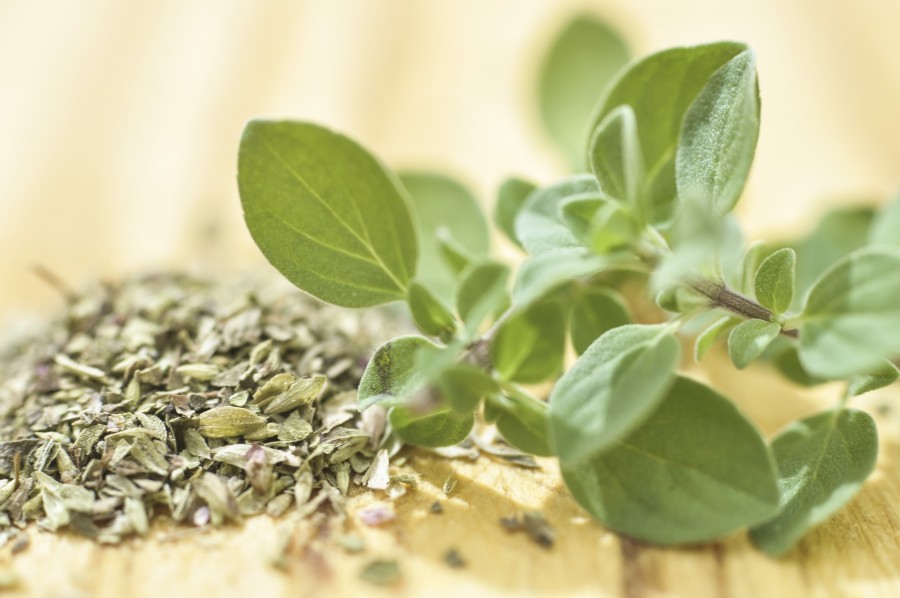 Oregano, spice, seasoning, fresh, dry, food