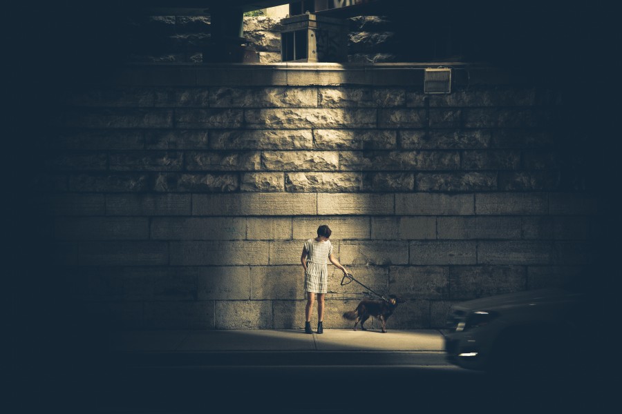 animal, pet,dog, one person, people, walk, out, ciudado, belt, urban, 