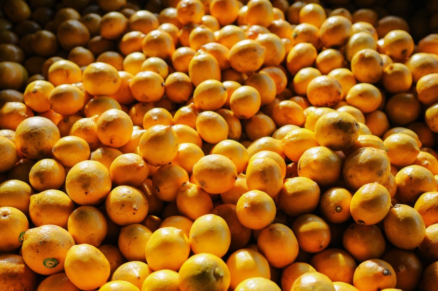 Cooking, Ed Gregory, Food, Fresh, Fruit, Lemon, Market, Orange, Oranges, Peal, Stock Photography, Stock Photos, Stokpic, 