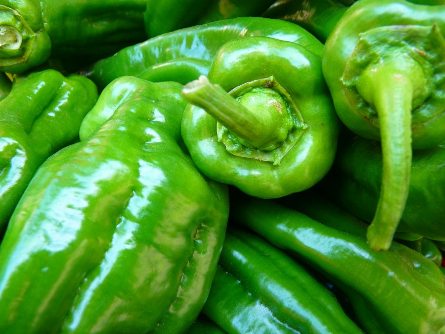 pepper, peppers, green peppers, vegetable, vegetables,