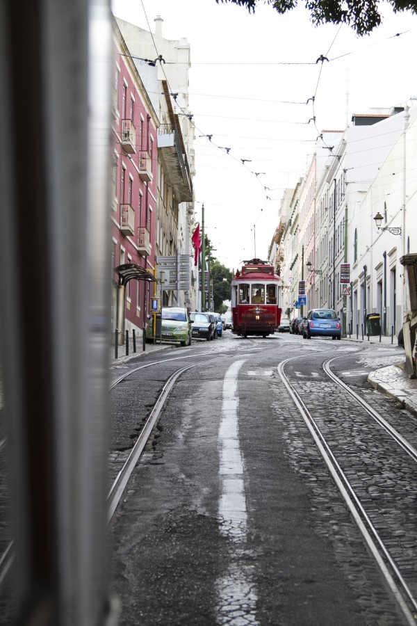 Tram, Street, Lisbon, Portugal, Europe, Day, Transport,