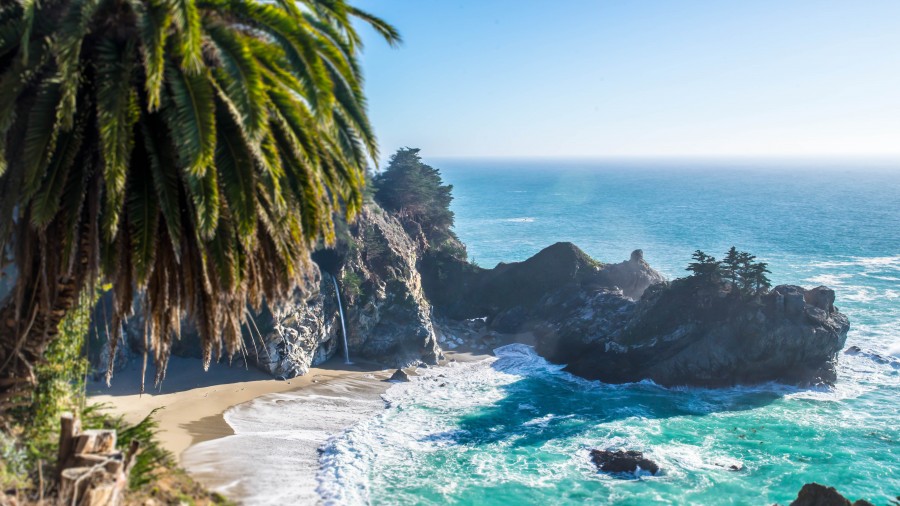 beach, coast, caribbean, day, outdoor, summer, palm tree, vacation, tourist, unspoiled, idyllic,