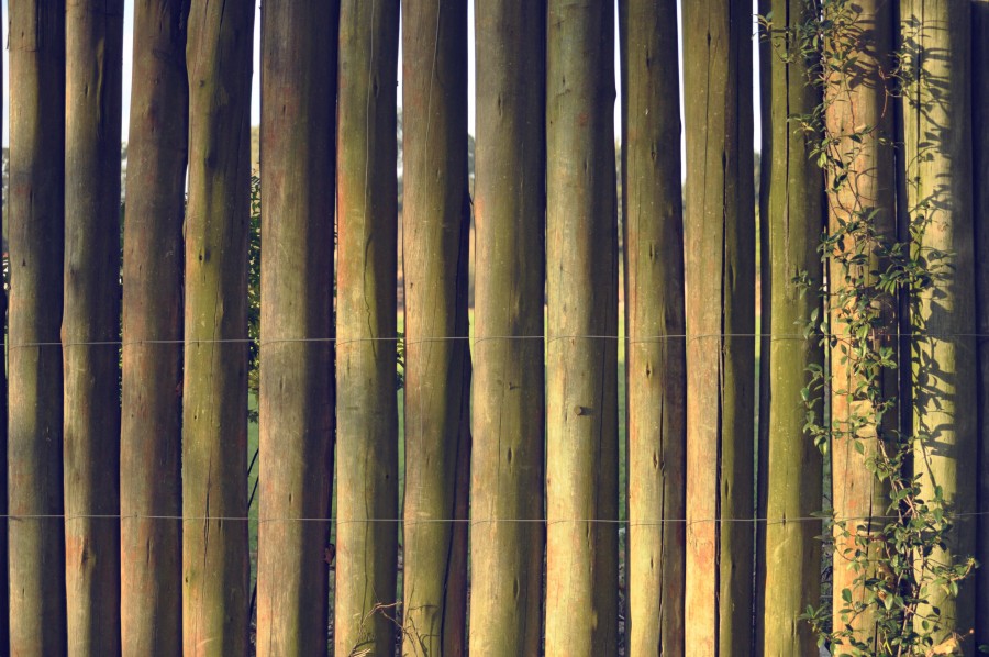 Background, texture, Bamboo
