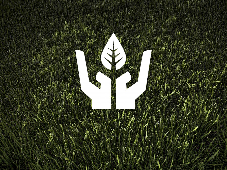 ecology , environment , recycling, sustainability , waste , reuse , plant