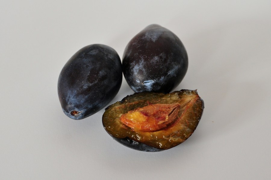 plums, prunes, fruit, fruits, three, half cut, carp, white background, 