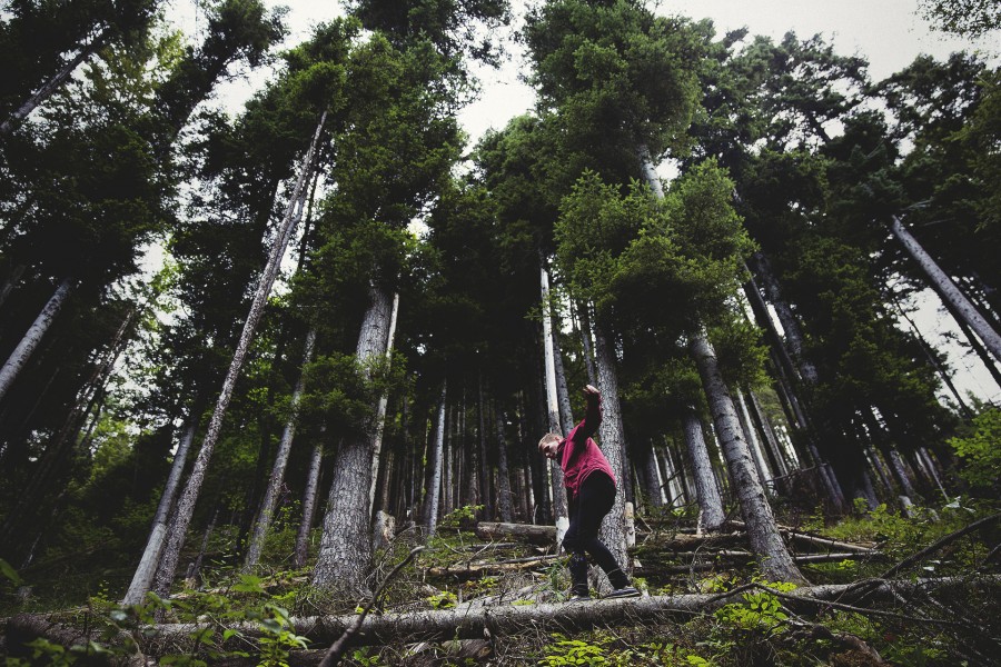 trekking, hiking, sport, balance, tree, forest, landscape, nature, one person, people, man, vacation, traveling, travel,