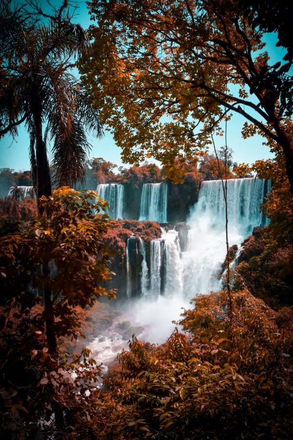 brazil, river, argentina, water, iguazu, nature, waterfall, tourism, travel, landscape, park, jungle, tropical, green, iguacu, cascade, beautiful, unesco, natural, wonder, misiones, rainforest, brazilian, america, flow, view, national, famous, south, falls, parana, fall, forest, sky, spectacular, iguassu, scenery, world, south america, exotic, cataract, latin, iguasu, adventure, blue, outdoor, cataratas, clouds