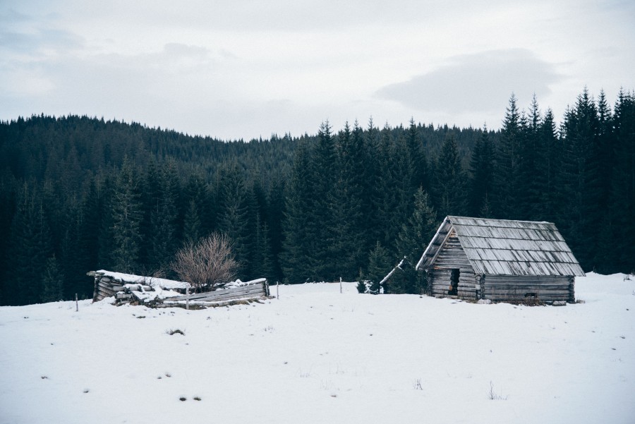 cabin, forest, snow, winter, landscape, wood,
