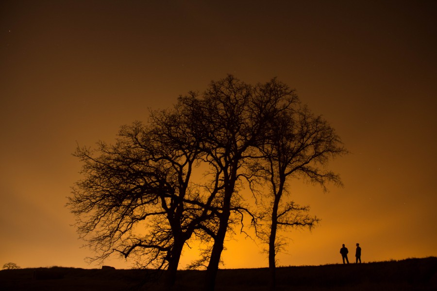field, trees, nobody, sunset, silhouette, shadow, dark, tree, orange, sky, rural, people, two, tree, 