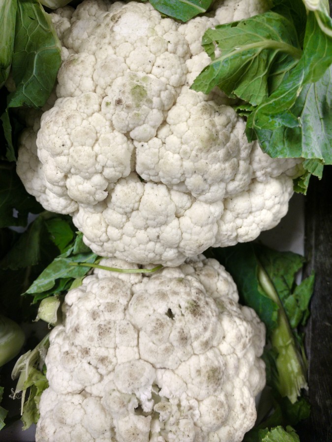 cauliflower, vegetables, greengrocer, healthy food, food, nutrients, vegetables, vegetable, organic, vegetable