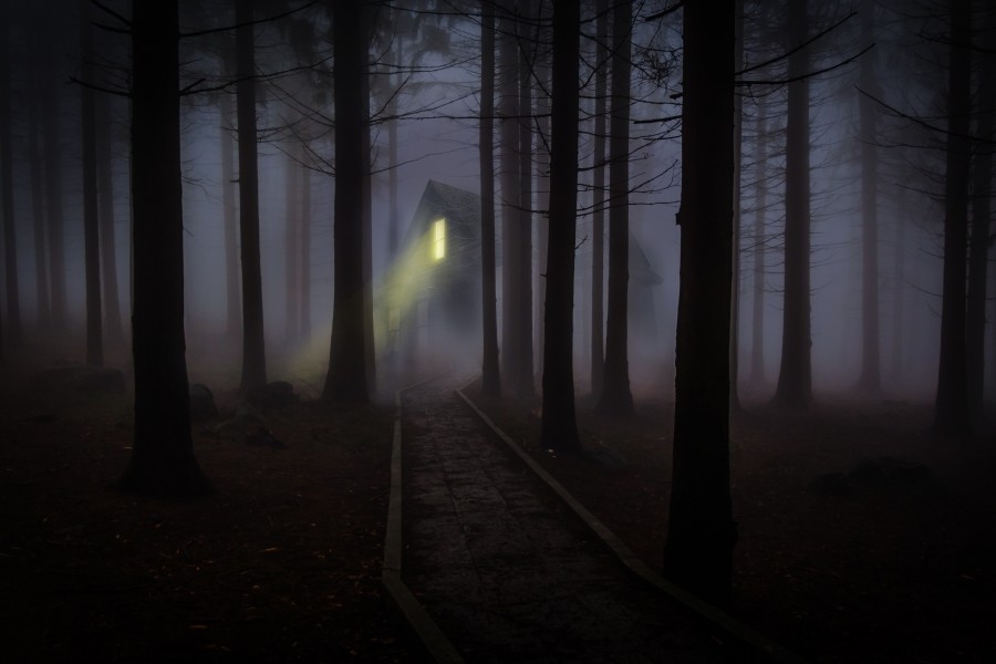 fog, mystery, forest, house, spooky, halloween, light, nobody, night, 