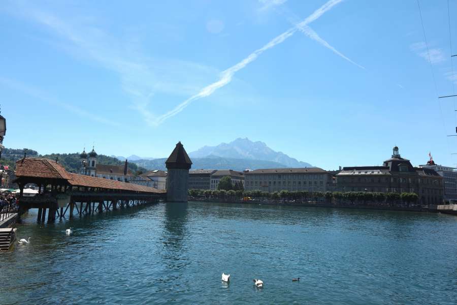 bridge ,buildings ,lake ,swan ,swans ,Swiss ,Swiss lake ,Switzerland ,trees ,water