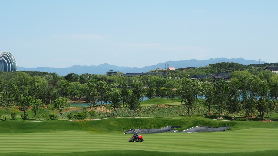 field, golf, lawn mower, grass, cut, one person, people, man, activity, outdoor,
