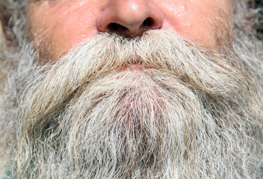 man, adult, beard, elderly, face, face, a person, front view,