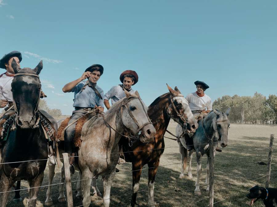 field, person, outdoor, animal, nature, cowboy, man, farm, mammal, argentina, america, gaucho, rural, landscape, equine, horsemanship, south, equestrian, entre rios, background, horseman, horse, domestic, rider, ride, tradition, worker, costume, herd, peon, countryside, work, cattle, ranch, people, campo, south america, traditional, domestic cattle, horseback, culture, stable, bovine, farmer, fence, hat, agriculture, men, argentine, tree