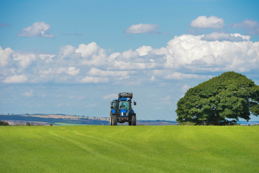 Grass, Sky, Spring, Summer, Tractor, clouds, crop, farm, fiield, green, harvest, nature, tree, 
