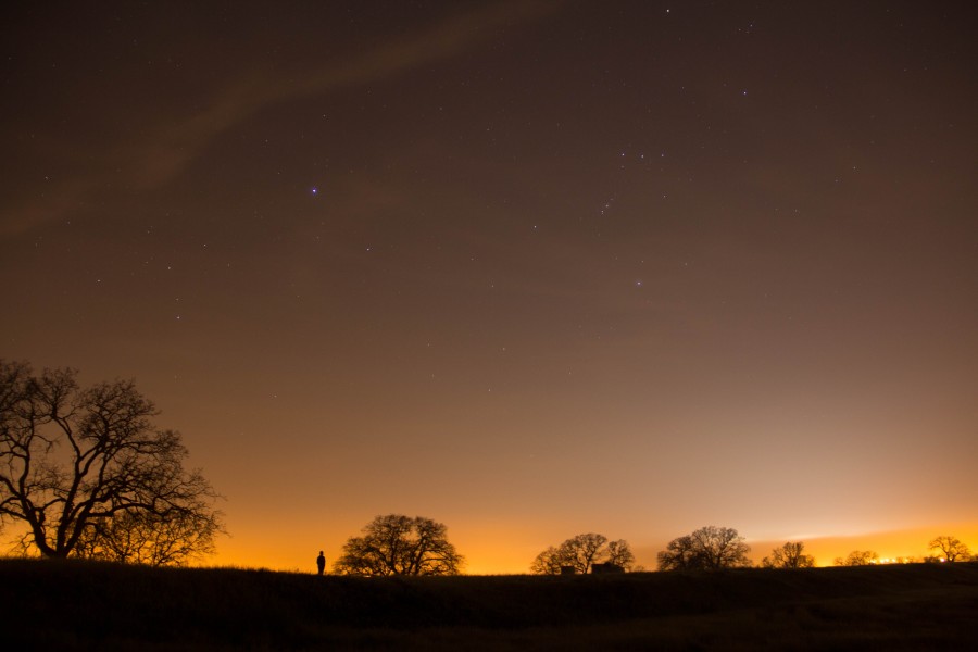 field, trees, sunset, silhouette, shadow, dark, tree, orange, sky, sunset, one person, people, small, tiny, stars, landscape,