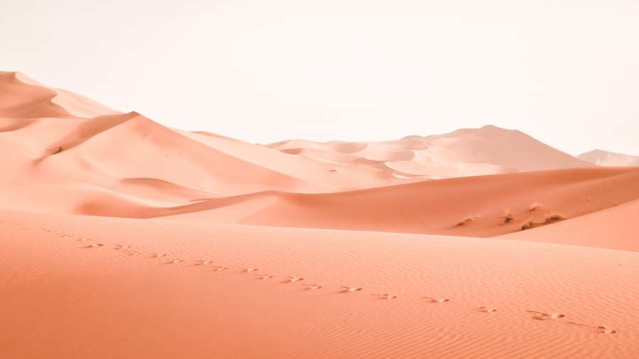 desert, sand, nature, travel, outdoor, dune, landscape, background, dunes, tourism, beautiful, sky, scenic, summer, horizon, view, sunset, sunrise, natural, water, africa, dry, clouds, captivating, weather, hot, amazing, panorama, relaxation, holiday, sun, sunbathing, long, day, no people, calm, enchanting, sunny, copyspace, 