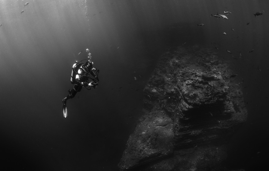 diving, snorkeling, diver, a person, seabed, ocean, water, black and white, sport, adventure, marine, background,