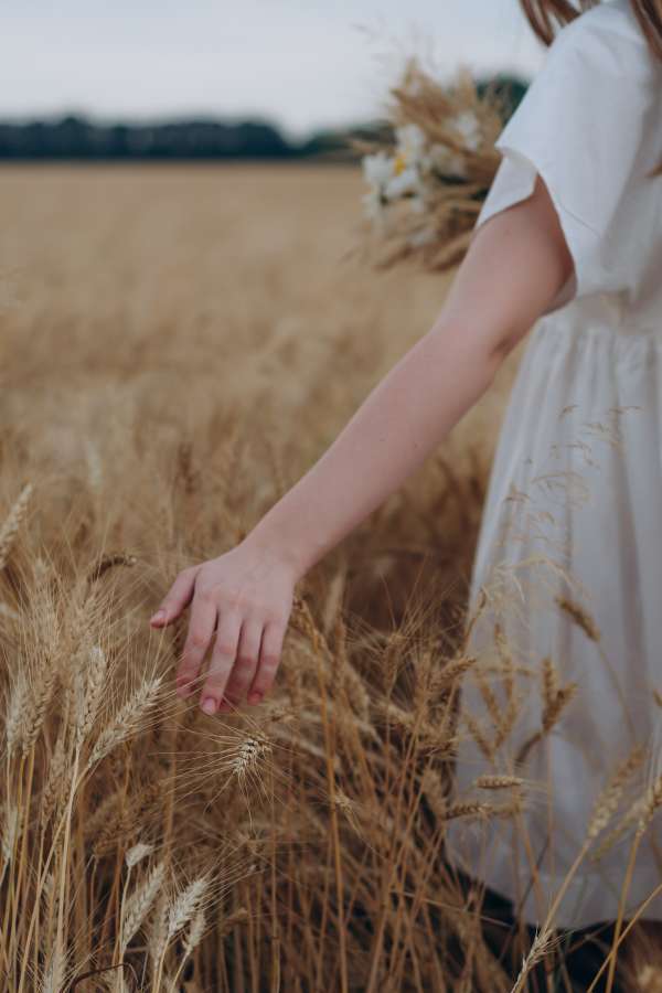 blossom, holding, suburban, plantation, romantic, plants, wheat, place, meadow, wicker, herbal, botany, nature, touching, countryside, photo, flower, outdoor, ears, environment, wildflowers, lady, scenery, seasonal, basket, day, dress, caucasian, bag, enjoying, red, beautiful, growing, agricultural, season, female, floral, poppy, flowers, smiling, aromatic, girl, picking, chamomile, traditional, field, ukraine, woman, landscape