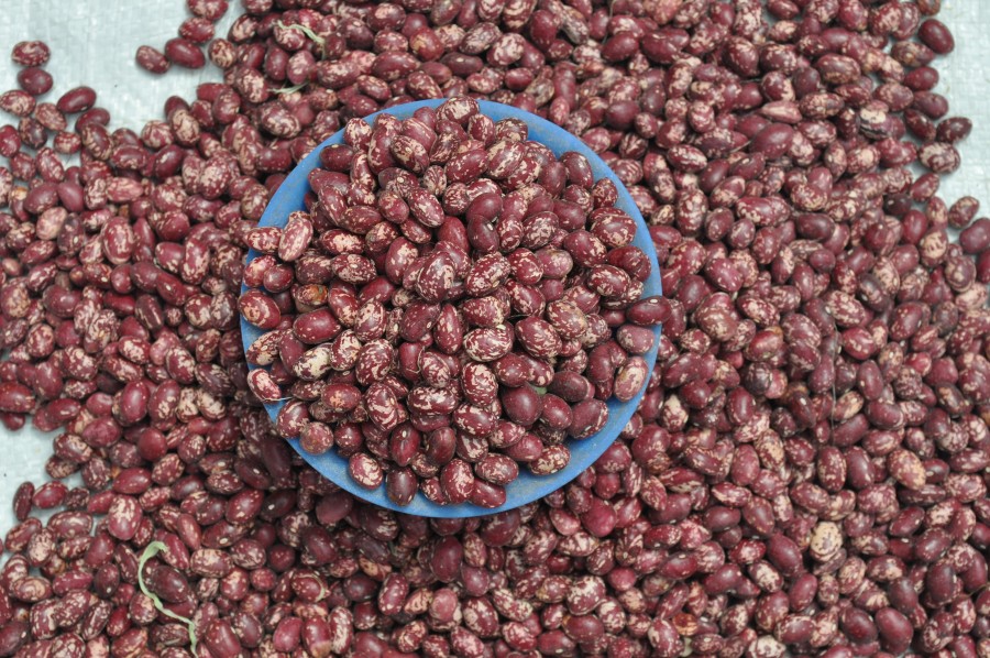 beans , beans , food, vegetable, fresh , food,