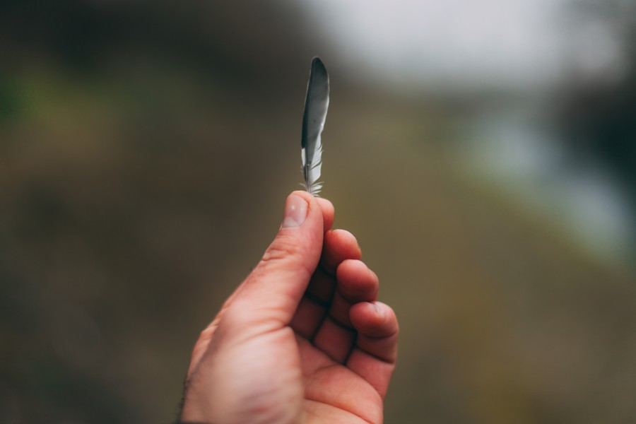 pen, hand, light, concept, hold, nature,