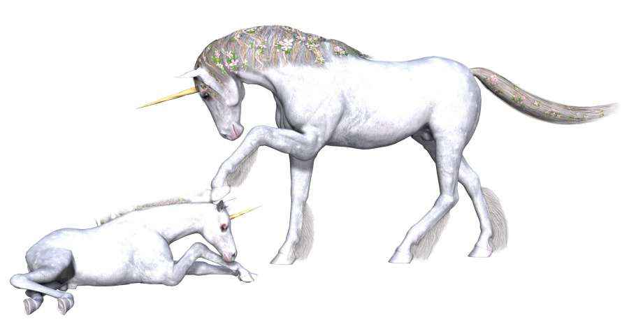 unicorn, beautiful, mythology, tender, unicorn to print, wallpaper of unicorn, animated unicorn, animal, unicorns, unicorn background, images of pretty unicorns, color unicorns, unicorns coloring, real unicorns, unicorns kawaii, unicorn drawing, colorful
