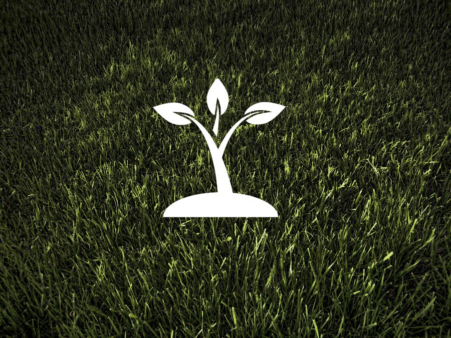 ecology , environment , recycling, sustainability , waste , reuse , plant