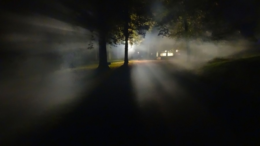 fog, night, night, forest, light, mystical, esoteric, mystery, light, UFO, fear, no one, appearance, ghost, unknown,